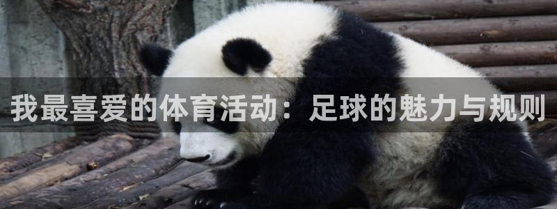 678体育官网下载