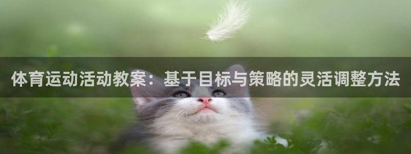 皇冠678体育：体育运动活动教案：基于目标与策略的灵活调整方法