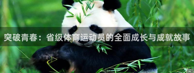 678体育官网：突破青春：省级体育运动员的全面成长与成就故事