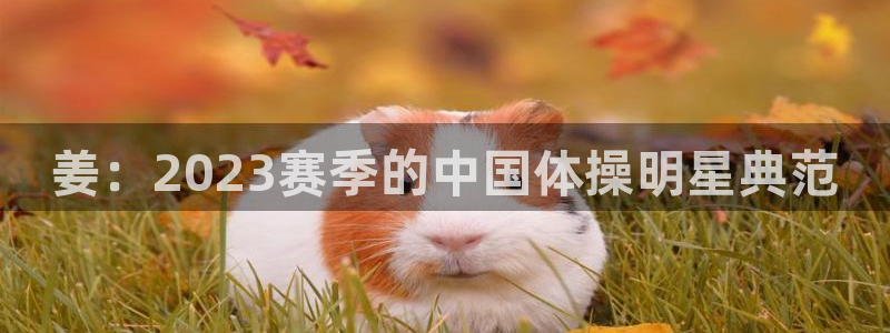 678体育app：姜：2023赛季的中国体操明星典范