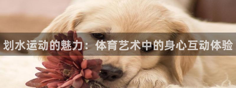 678体育app：划水运动的魅力：体育艺术中的身心互动体验