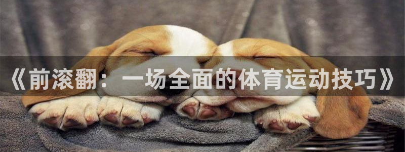 678体育官网下载：《前滚翻：一场全面的体育运动技巧》