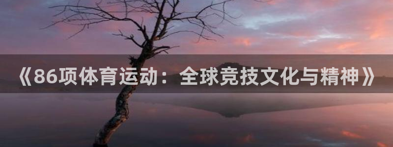 皇冠678体育：《86项体育运动：全球竞技文化与精神》