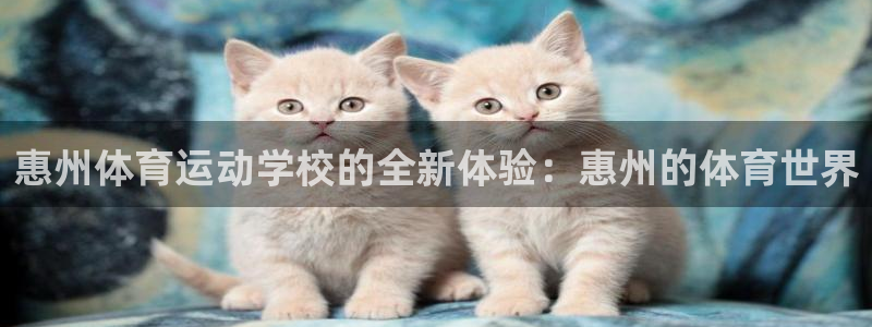 皇冠678体育：惠州体育运动学校的全新体验：惠州的体育世界